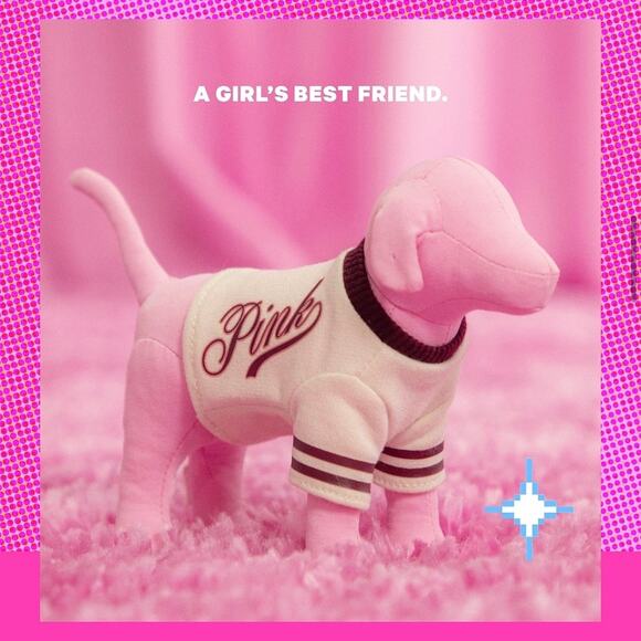 Victoria's Secret Pink Accessories - Victoria’s Secret PINK PINK Friday Mini Dog Limited Edition